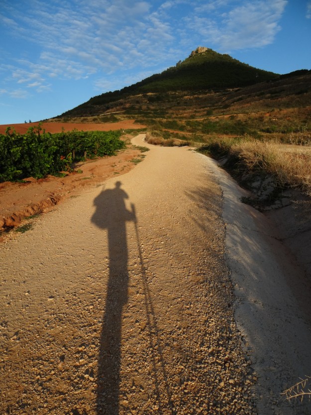 Approaching Villamayor de Monjardin just after sunrise