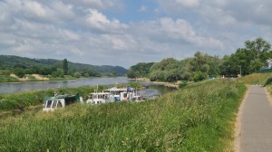 The Elbe near Dresden