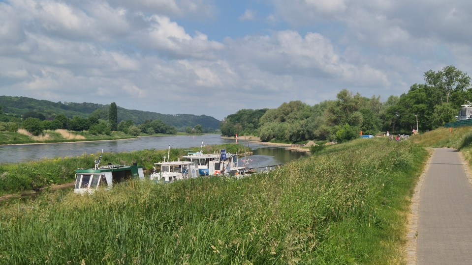The Elbe near Dresden