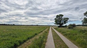 Some of the country was very flat and open